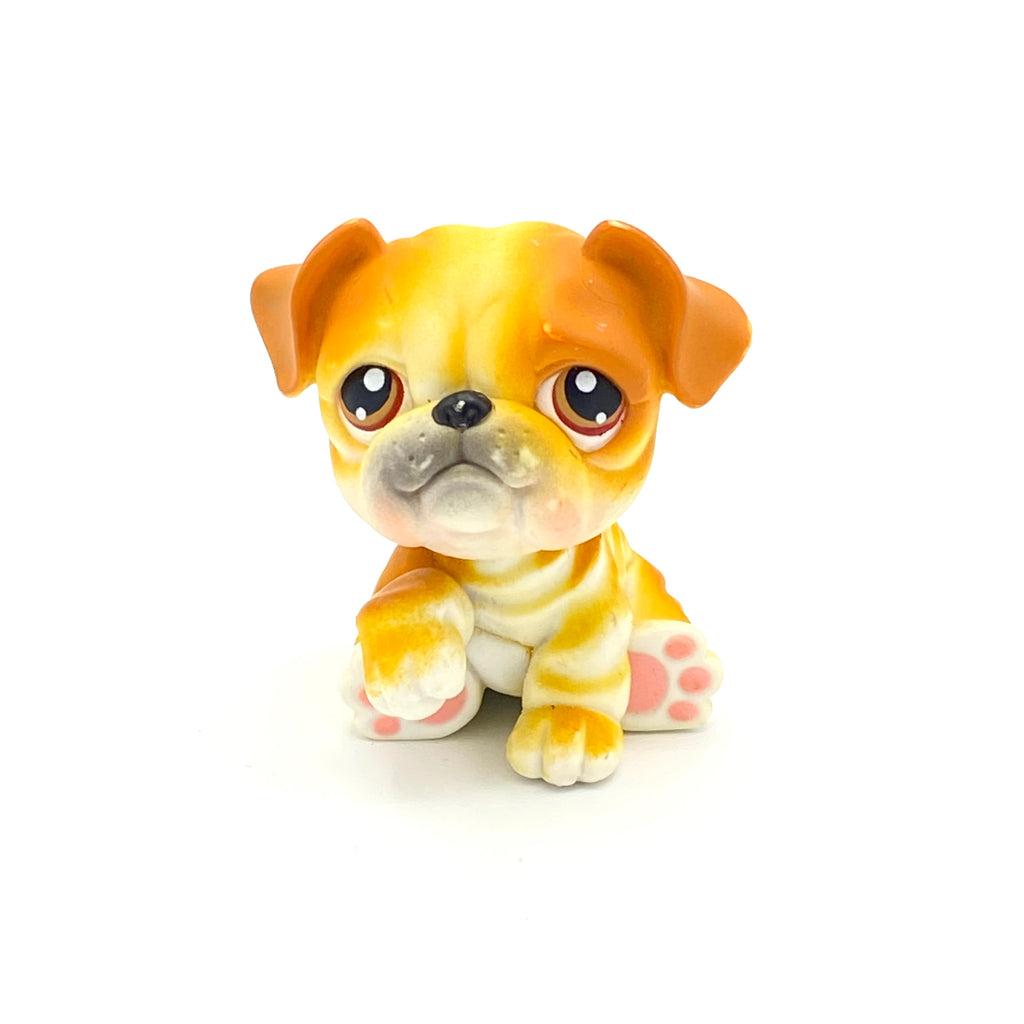 LPS koira bulldog #46