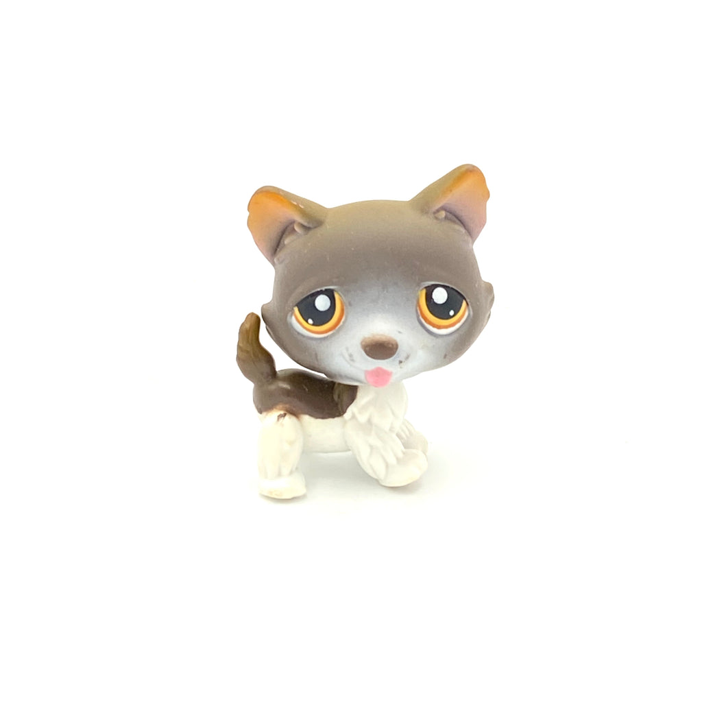 LPS koira husky #174