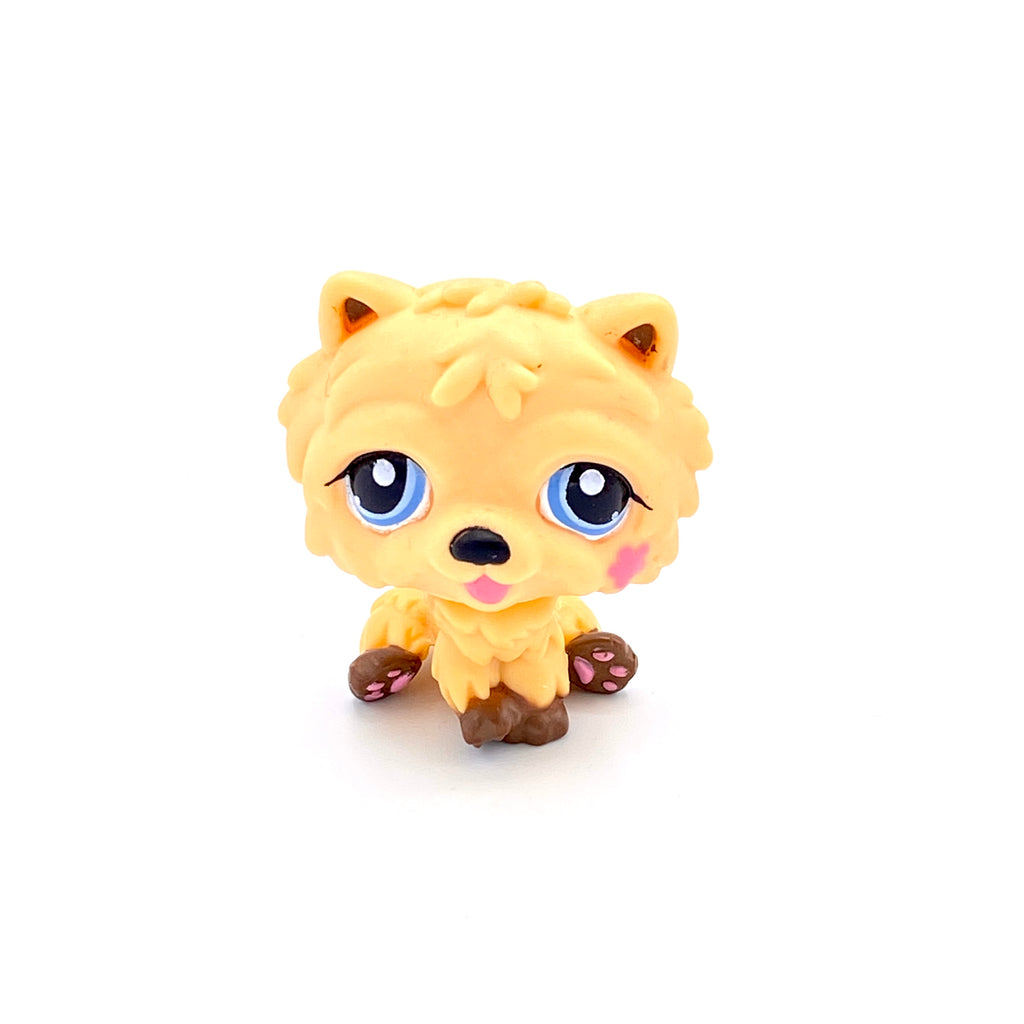 LPS koira chow chow #1208