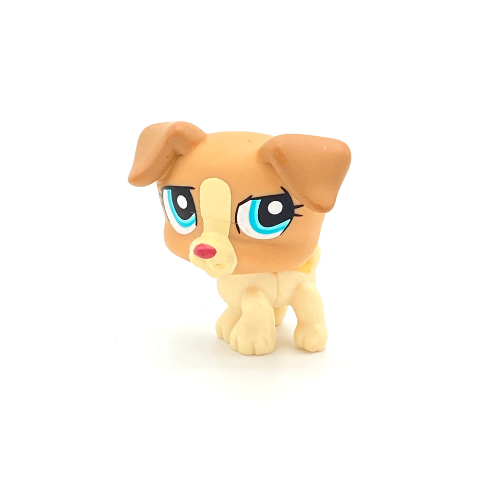 LPS koira Jack Russell #1302