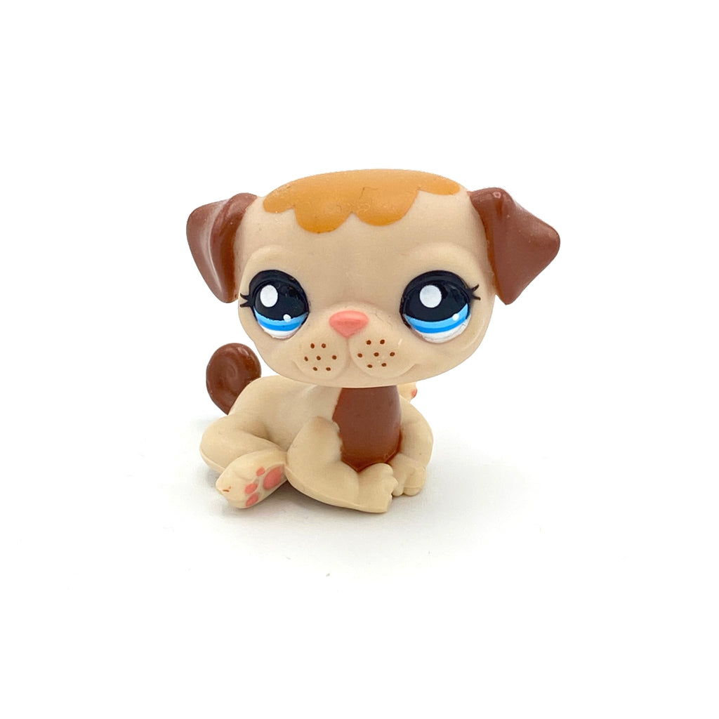 LPS koira mopsi #1753