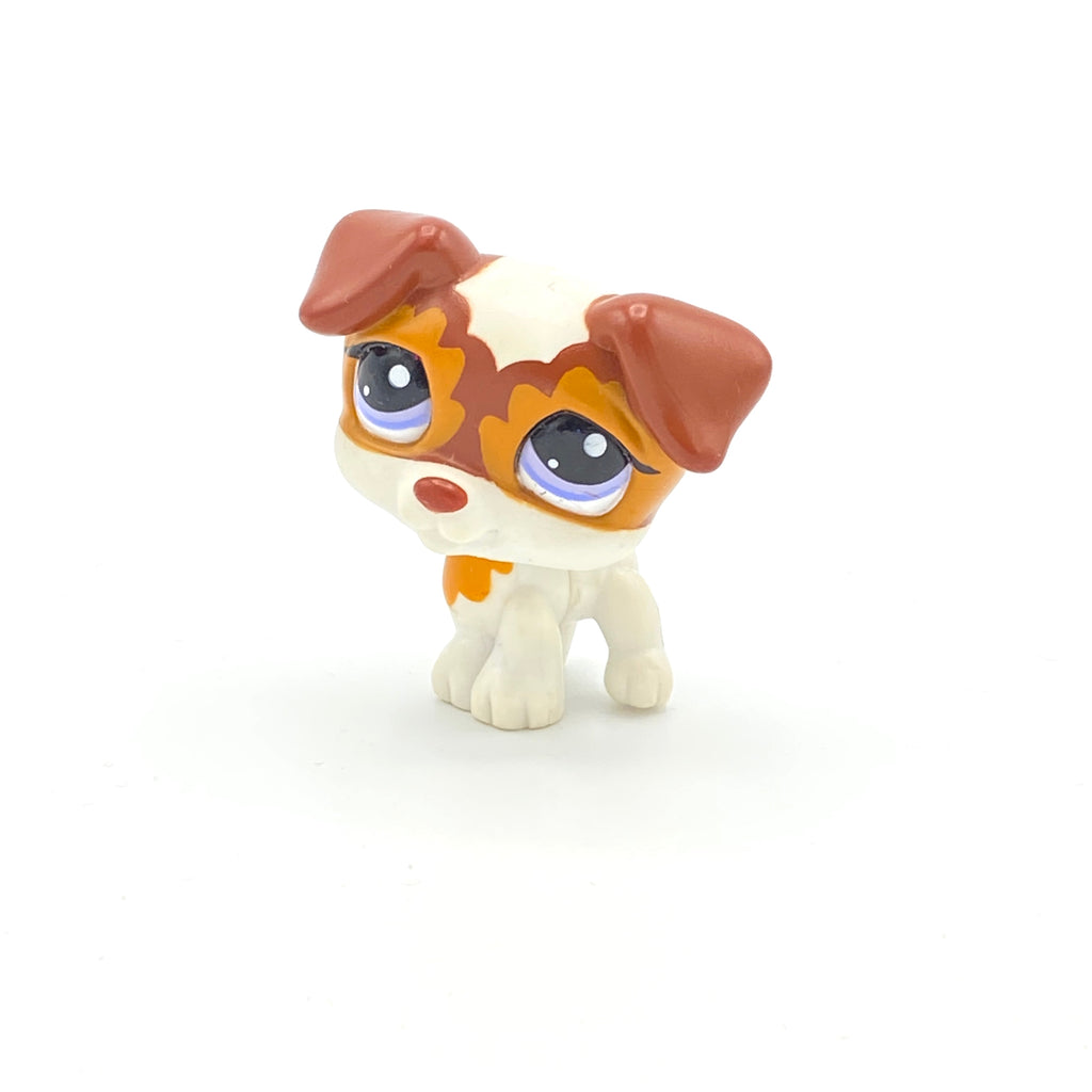 LPS koira Jack Russell #2401