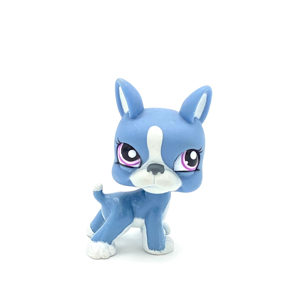 LPS koira bostoninterrieri #1025