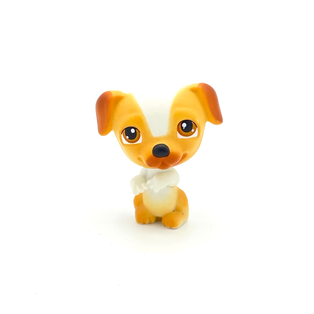 LPS koira Jack Russell #40