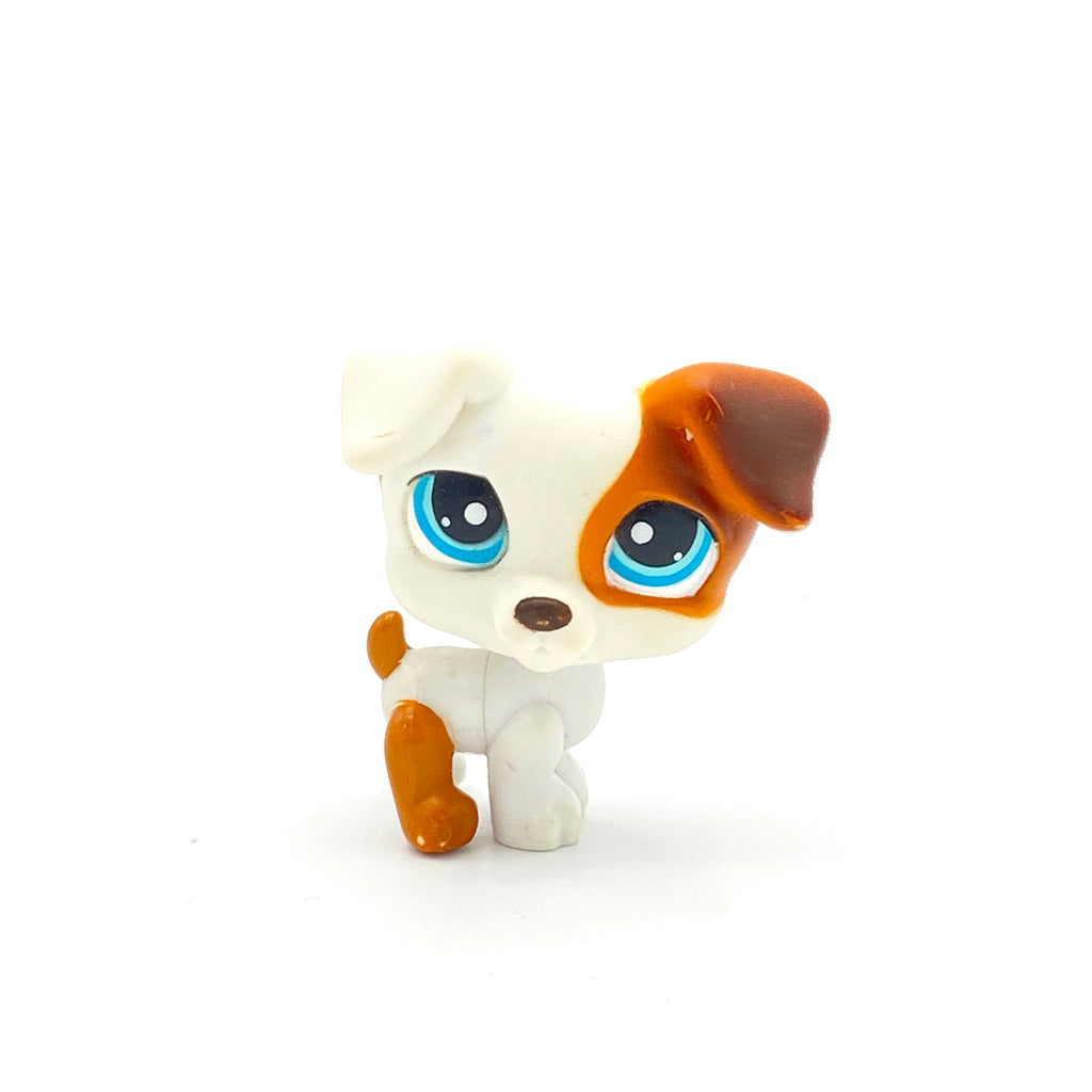 LPS koira Jack Russell #151