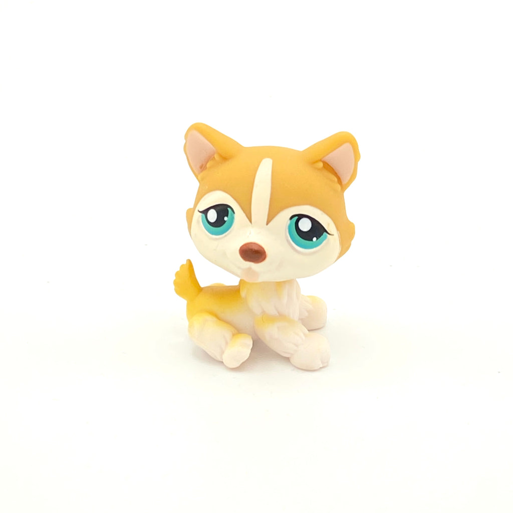 LPS koira husky #386
