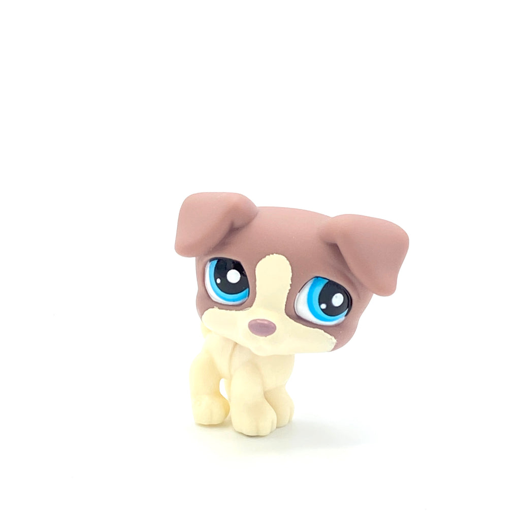LPS koira Jack Russell #2189