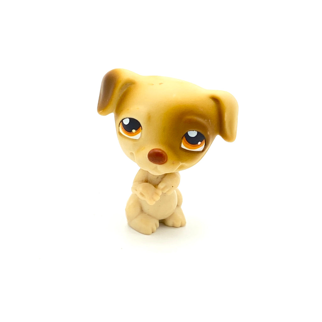 LPS koira Jack Russell #109