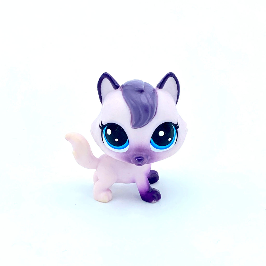 LPS kissa #66