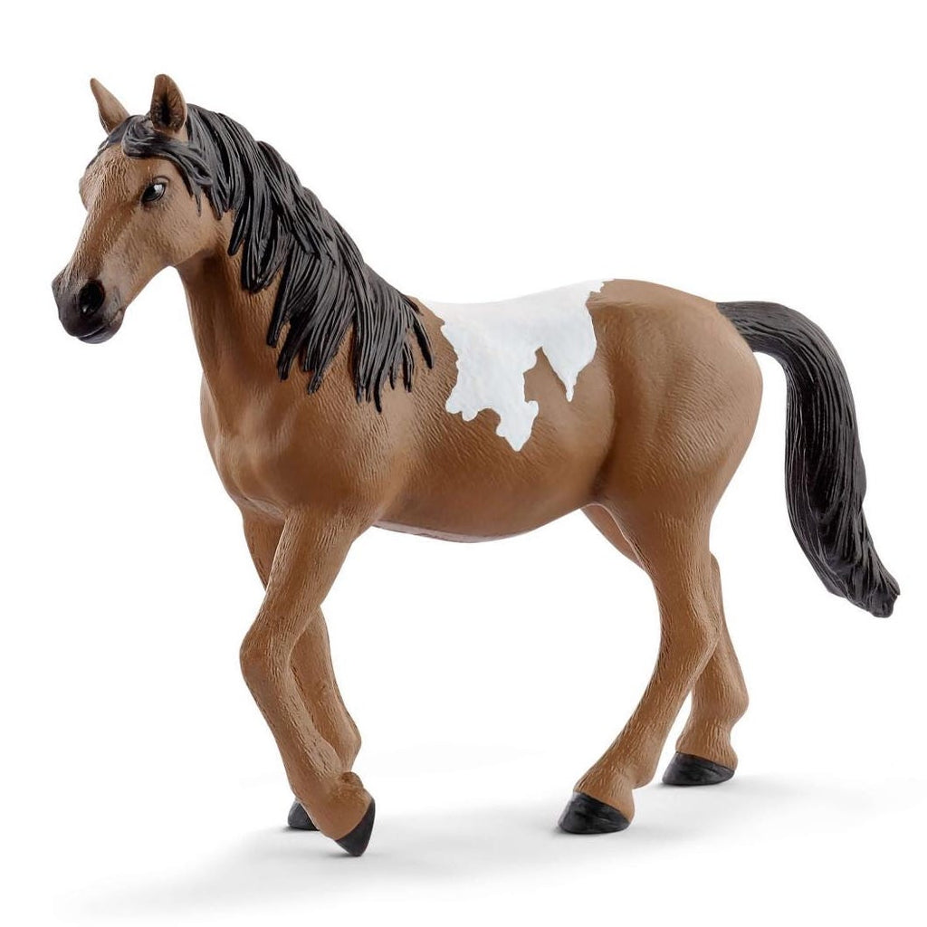 Schleich Horse Club 72138 Pinto hevonen - Special edition!