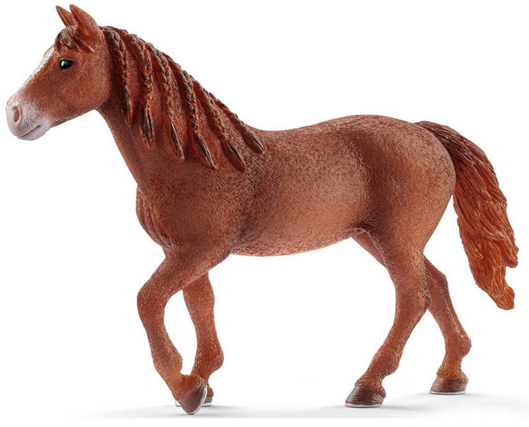 Schleich Horse Club 13870 Morganinhevonen, tamma