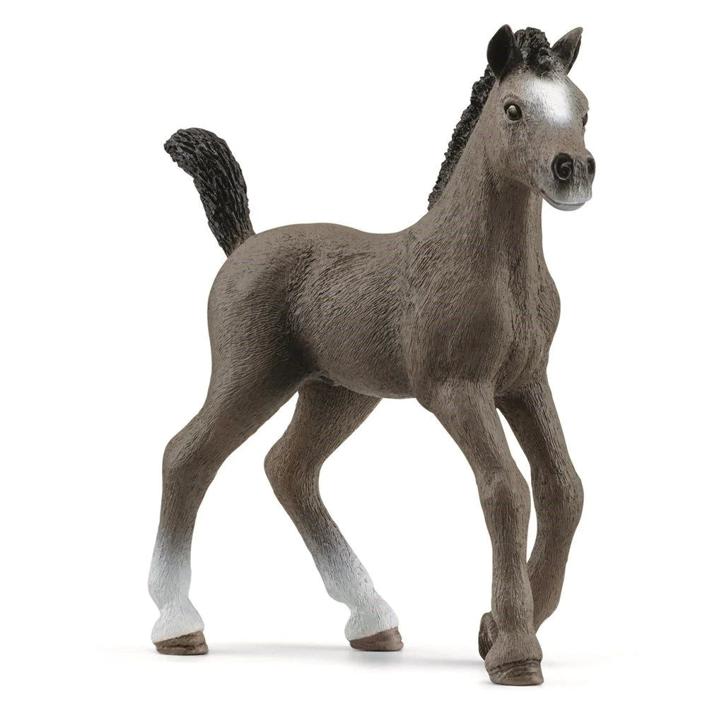Schleich Horse Club 13957 Ranskanpuoliverinen varsa